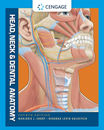 Algopix Similar Product 7 - Head, Neck and Dental Anatomy