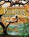 Algopix Similar Product 1 - An Illustrated Guide to Pruning