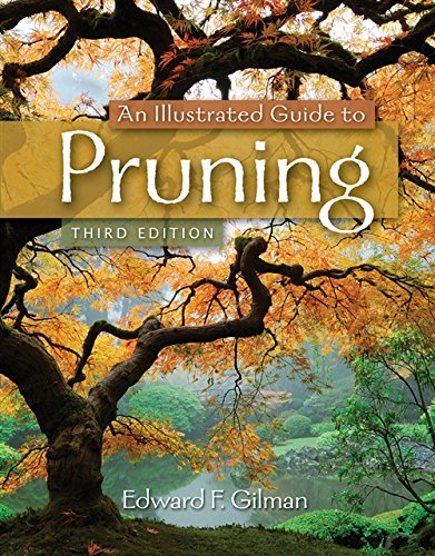 Algopix Similar Product 17 - An Illustrated Guide to Pruning