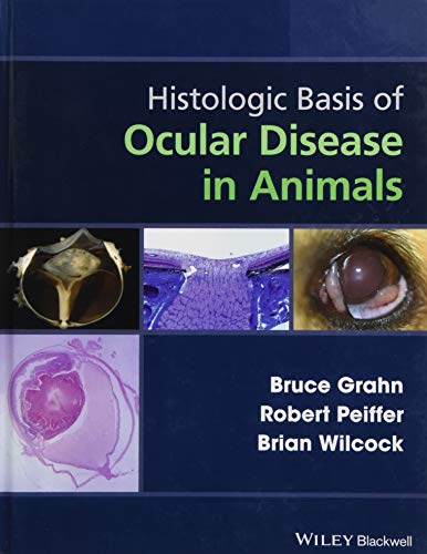 Algopix Similar Product 8 - Histologic Basis of Ocular Disease in