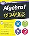 Algopix Similar Product 10 - Algebra I 1001 Practice Problems For