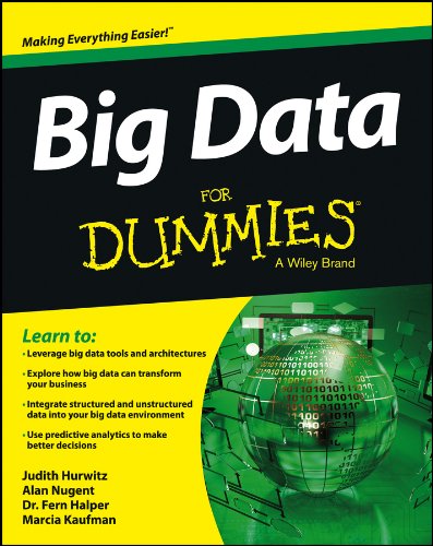 Algopix Similar Product 18 - Big Data For Dummies