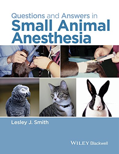 Algopix Similar Product 14 - Questions and Answers in Small Animal