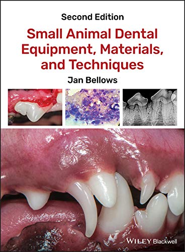 Algopix Similar Product 1 - Small Animal Dental Equipment