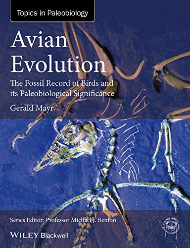 Algopix Similar Product 5 - Avian Evolution The Fossil Record of