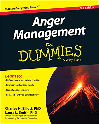 Algopix Similar Product 18 - Anger Management For Dummies 2nd