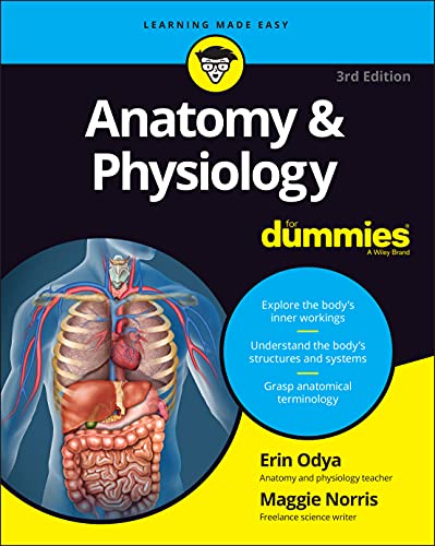 Algopix Similar Product 8 - Anatomy  Physiology For Dummies For