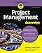 Algopix Similar Product 4 - Project Management For Dummies