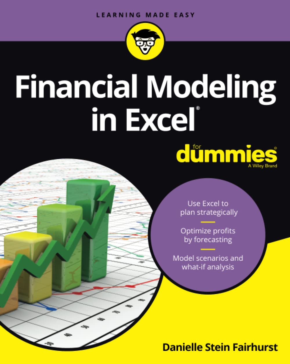 Algopix Similar Product 6 - Financial Modeling in Excel For Dummies