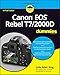 Algopix Similar Product 5 - Canon EOS Rebel T72000D For Dummies