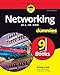 Algopix Similar Product 15 - Networking AllinOne For Dummies For