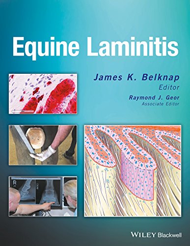Algopix Similar Product 13 - Equine Laminitis