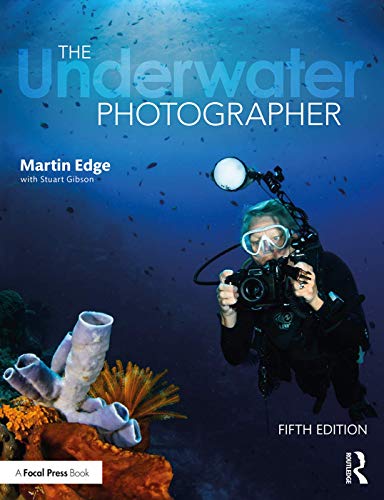 Algopix Similar Product 1 - The Underwater Photographer
