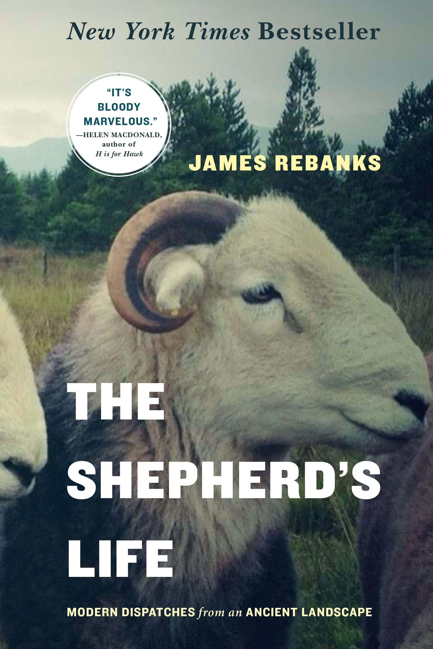 Algopix Similar Product 12 - The Shepherds Life Modern Dispatches