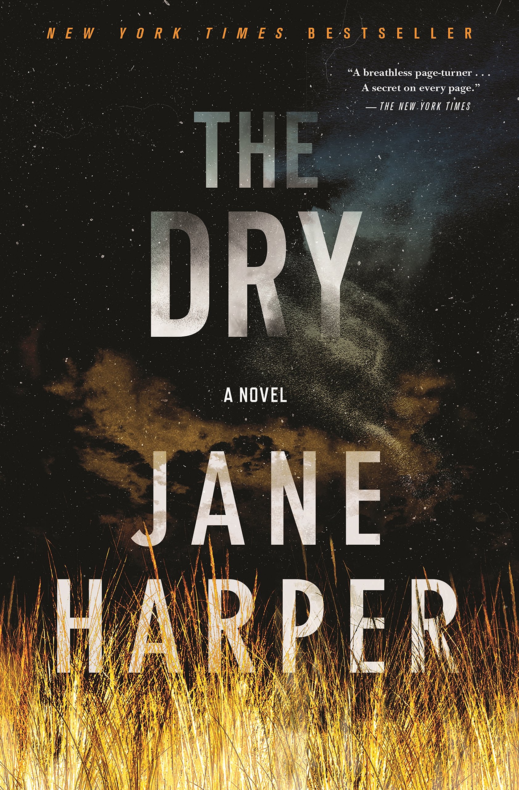 Algopix Similar Product 1 - The Dry: A Novel