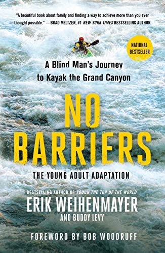 Algopix Similar Product 19 - No Barriers The Young Adult