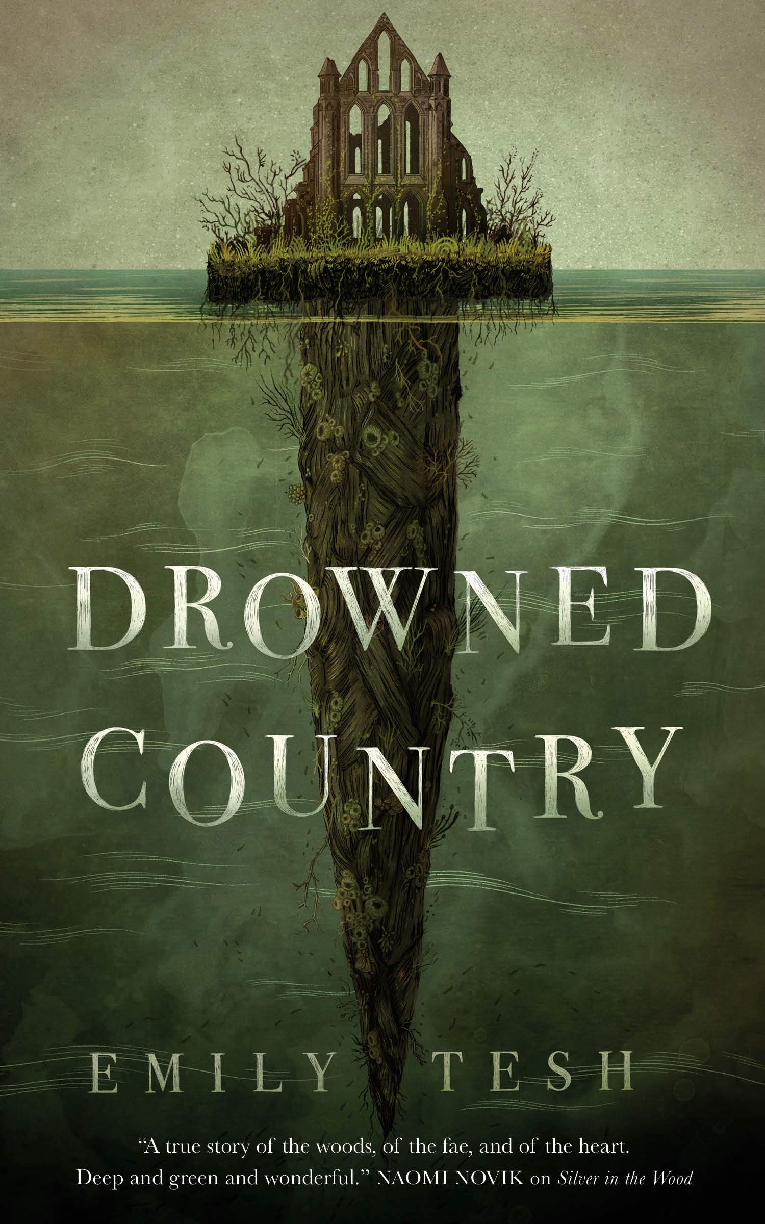 Algopix Similar Product 4 - Drowned Country The Greenhollow