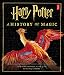 Algopix Similar Product 2 - Harry Potter A History of Magic