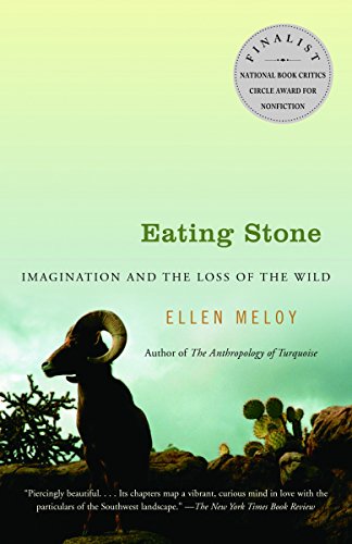 Algopix Similar Product 17 - Eating Stone Imagination and the Loss