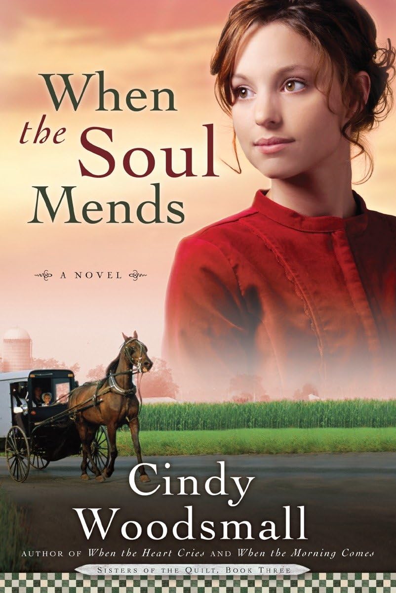 Algopix Similar Product 1 - When the Soul Mends Sisters of the
