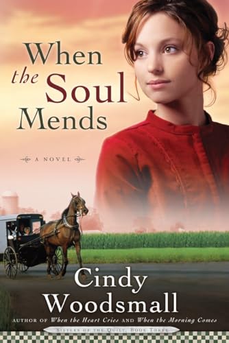 Algopix Similar Product 16 - When the Soul Mends Sisters of the