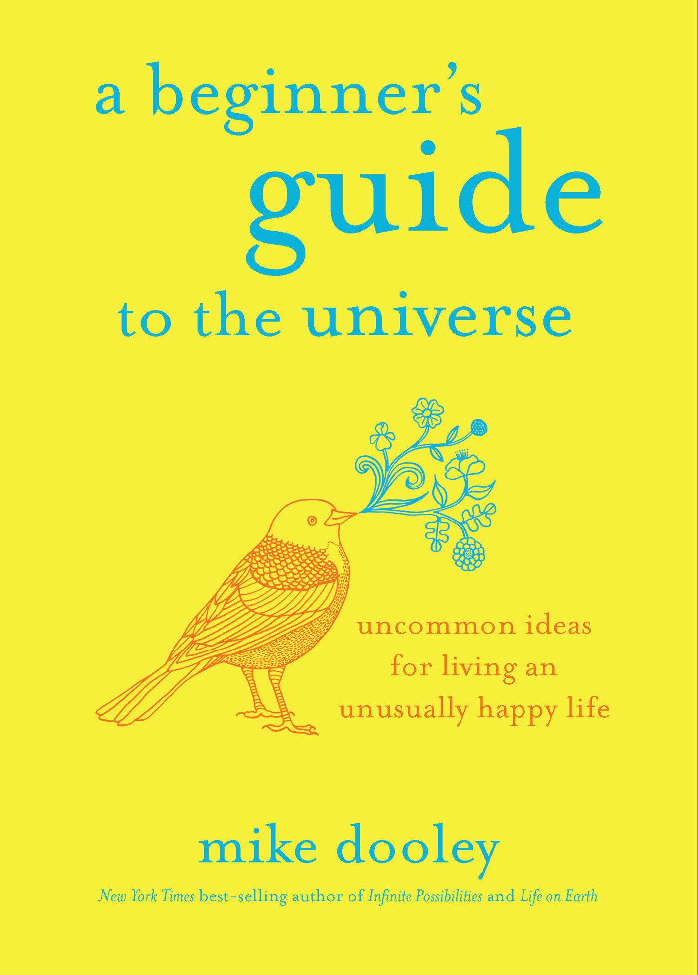 Algopix Similar Product 5 - A Beginners Guide to the Universe