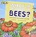 Algopix Similar Product 8 - What If There Were No Bees A Book