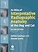 Algopix Similar Product 10 - An Atlas of Interpretative Radiographic