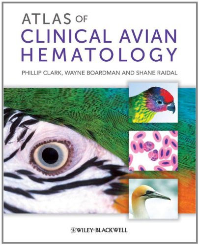 Algopix Similar Product 11 - Atlas of Clinical Avian Hematology