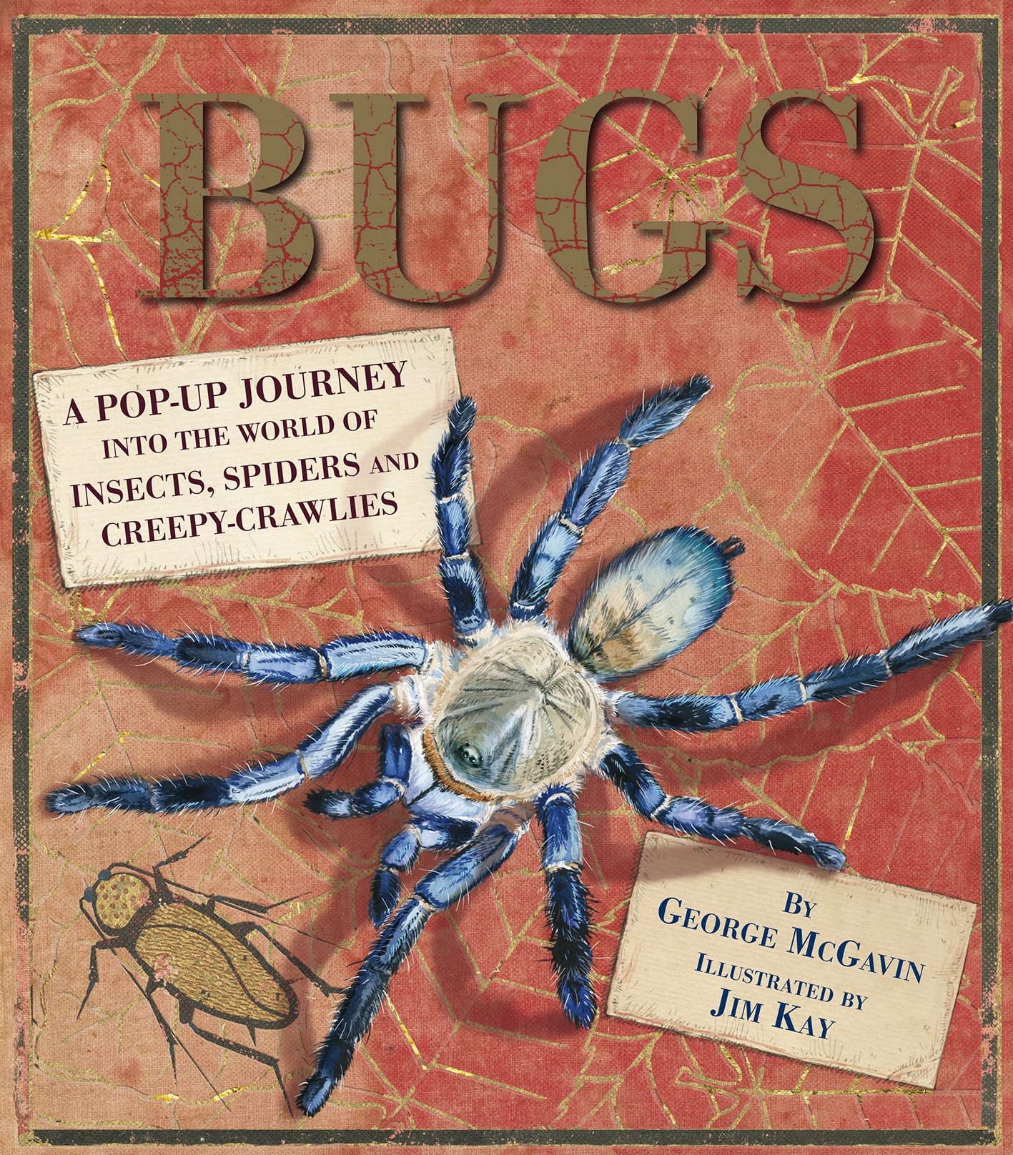 Algopix Similar Product 8 - Bugs Pop Up