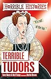 Algopix Similar Product 3 - Terrible Tudors (Horrible Histories)