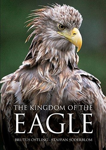 Algopix Similar Product 20 - Kingdom of the Eagle