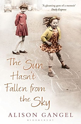 Algopix Similar Product 16 - The Sun Hasn't Fallen From the Sky