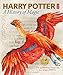 Algopix Similar Product 5 - Harry Potter: A History of Magic