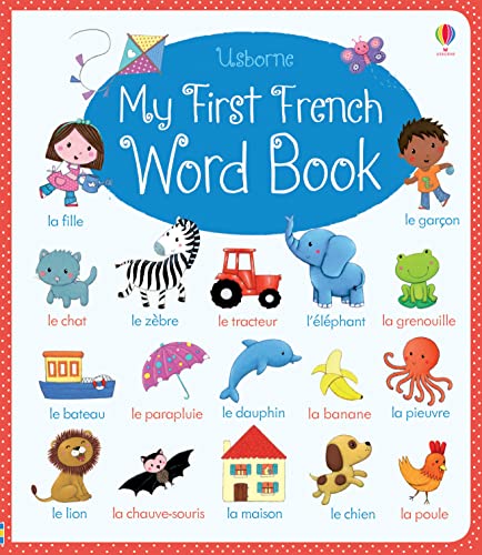 Algopix Similar Product 19 - My First French Word Book