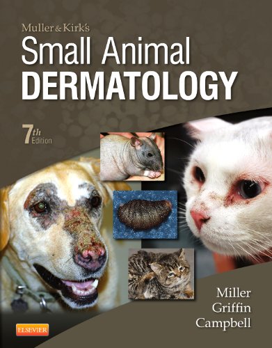 Algopix Similar Product 8 - Muller and Kirks Small Animal