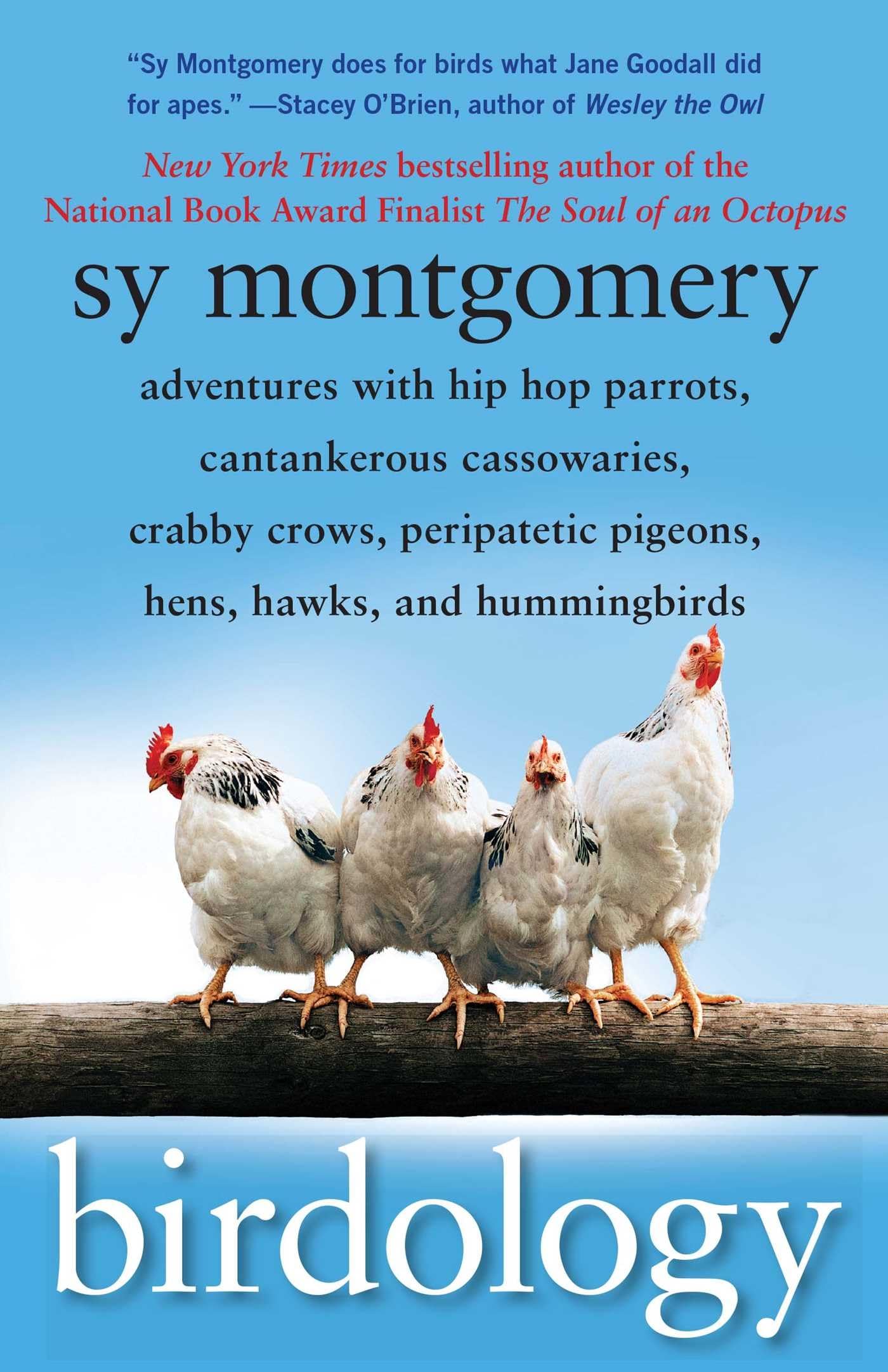 Algopix Similar Product 6 - Birdology Adventures with Hip Hop