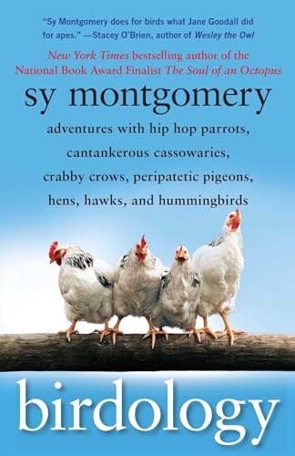 Algopix Similar Product 15 - Birdology Adventures with Hip Hop