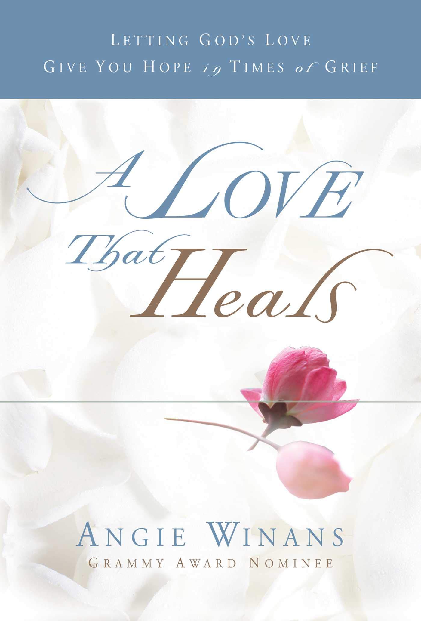Algopix Similar Product 1 - A Love that Heals Letting Gods Love