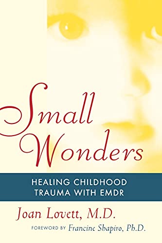 Algopix Similar Product 13 - Small Wonders Healing Childhood Trauma