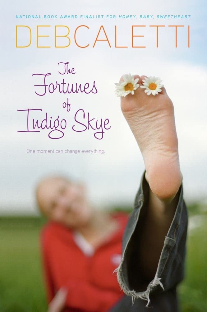 Algopix Similar Product 18 - The Fortunes of Indigo Skye