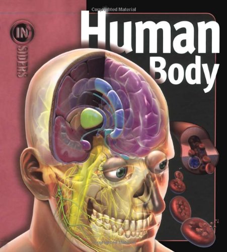 Algopix Similar Product 16 - Human Body (Insiders)