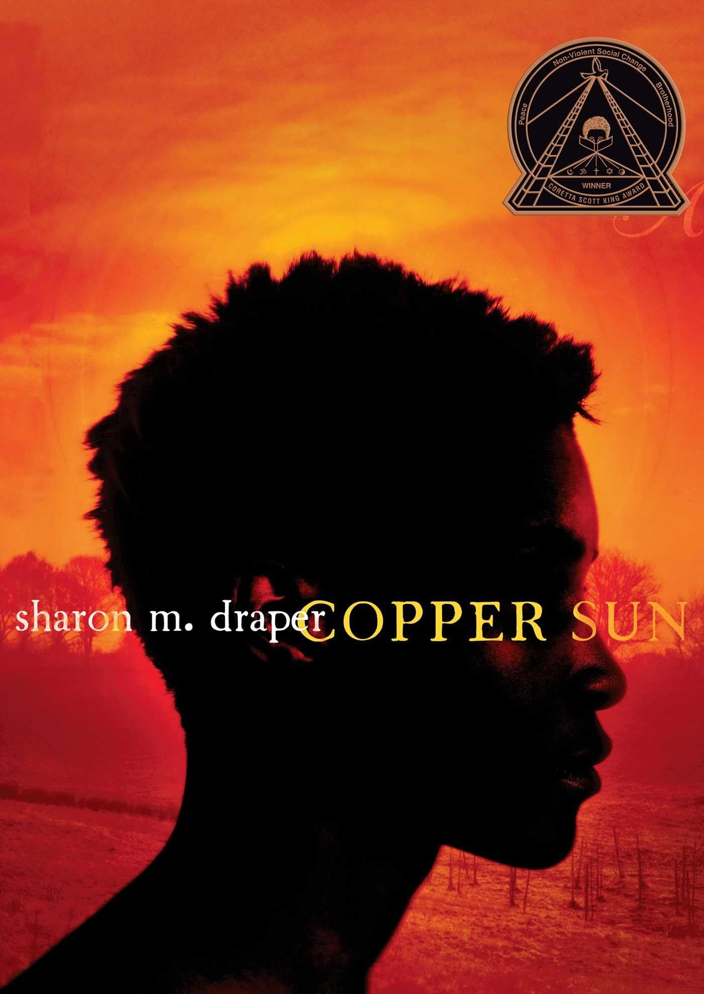 Algopix Similar Product 8 - Copper Sun