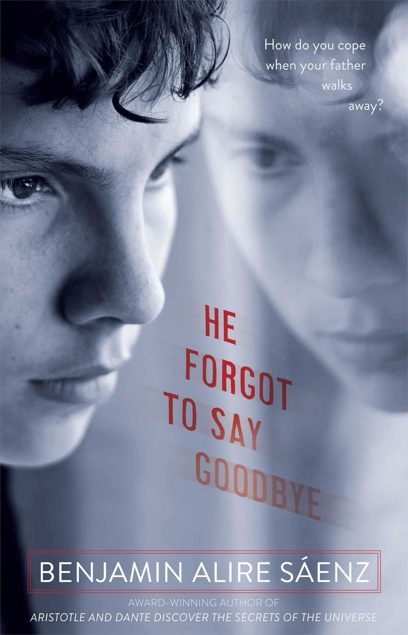Algopix Similar Product 3 - He Forgot to Say Goodbye