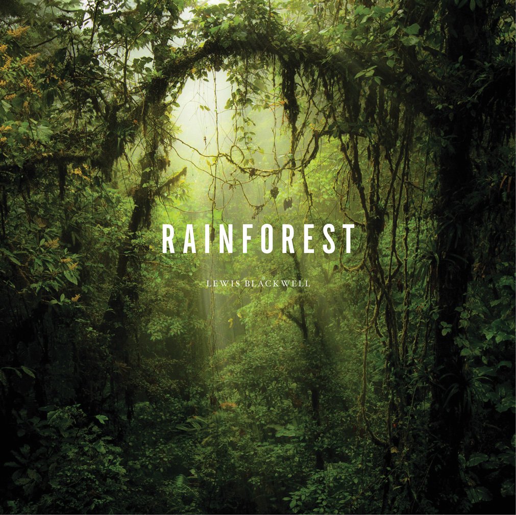 Algopix Similar Product 19 - Rainforest