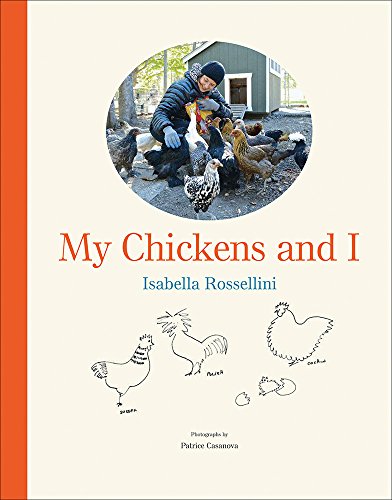 Algopix Similar Product 8 - My Chickens and I