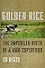 Algopix Similar Product 15 - Golden Rice The Imperiled Birth of a