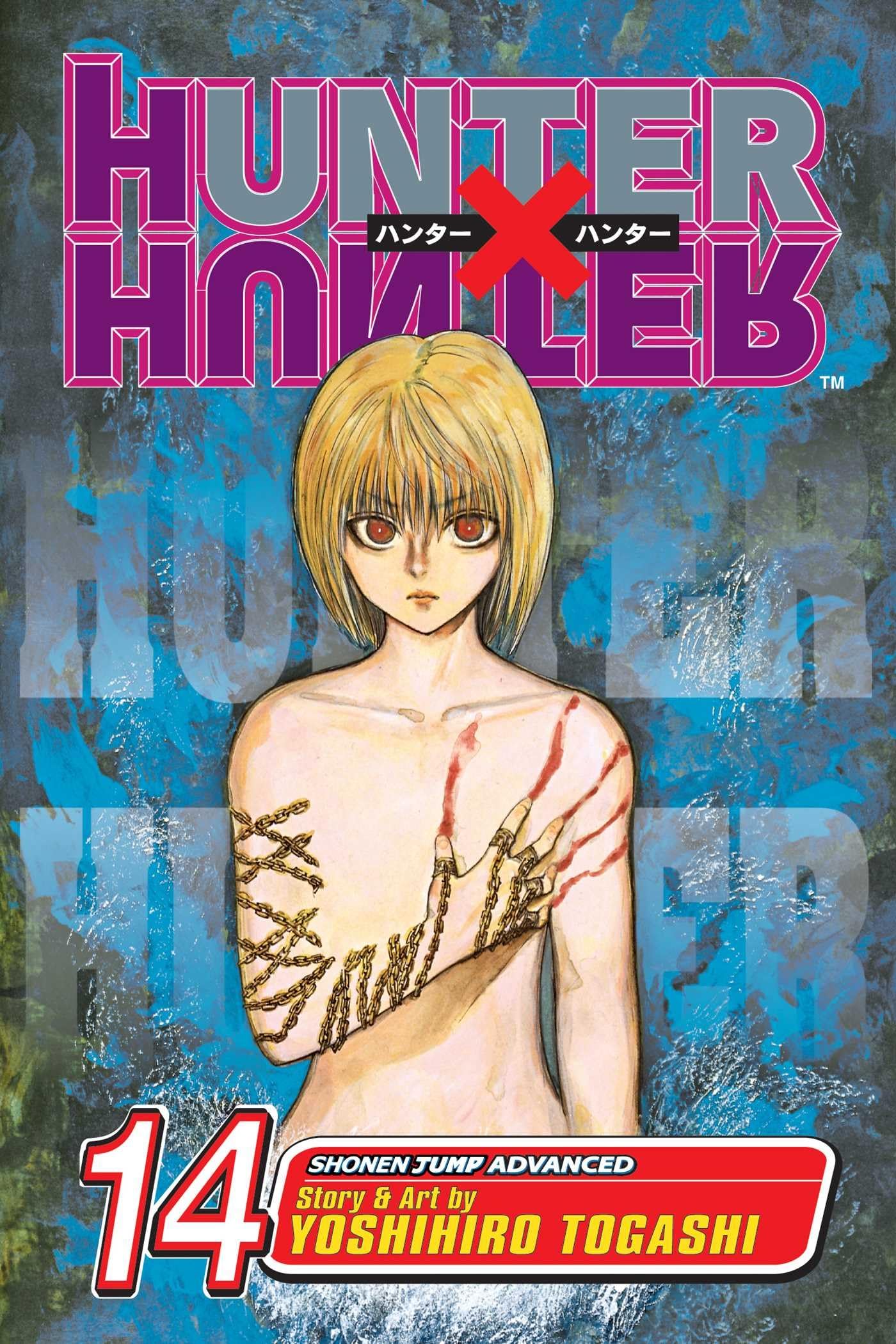 Algopix Similar Product 4 - Hunter x Hunter, Vol. 14 (14)