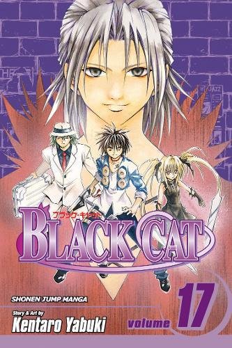 Algopix Similar Product 9 - Black Cat, Vol. 17