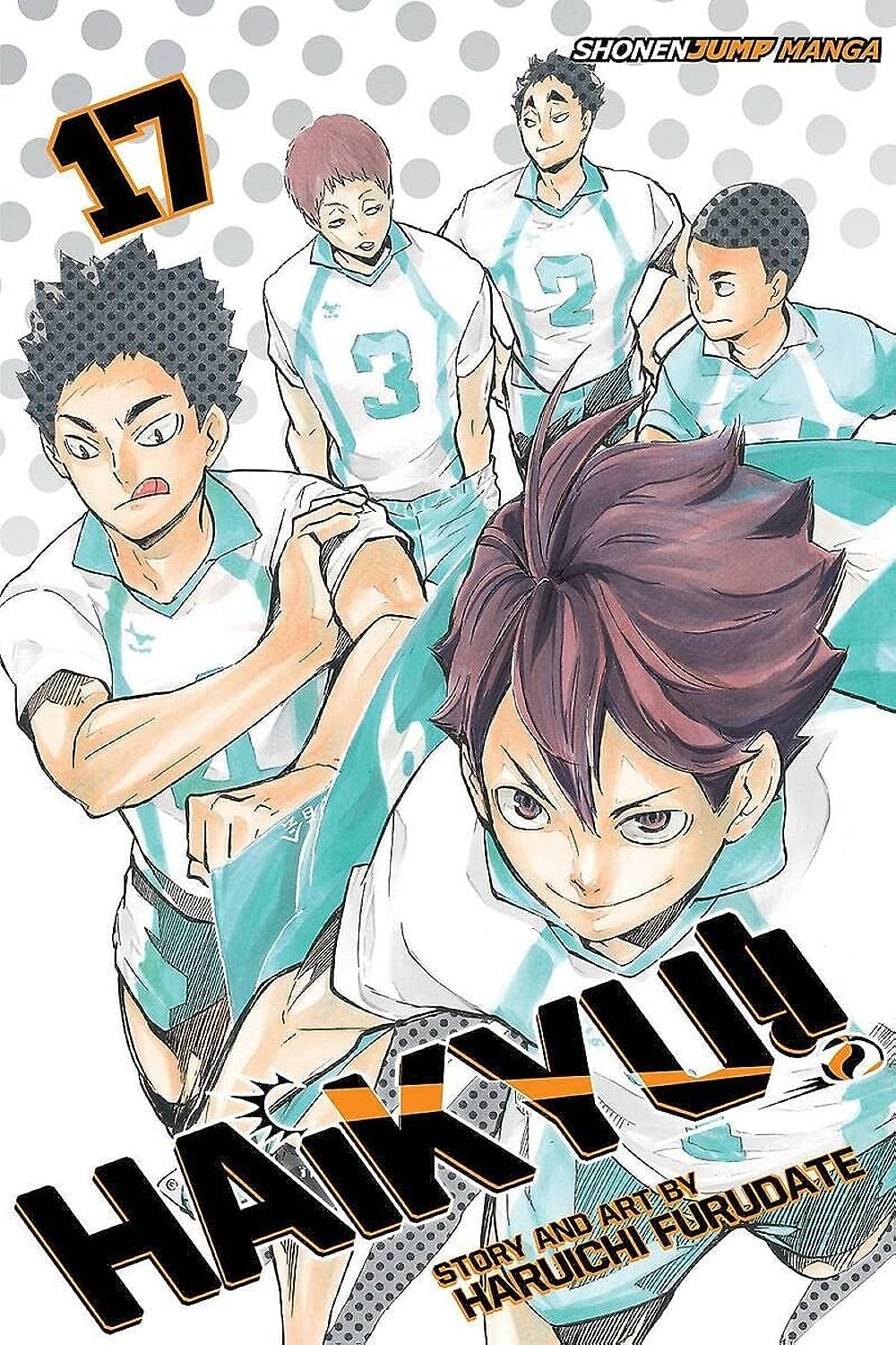 Algopix Similar Product 16 - Haikyu!!, Vol. 17 (17)
